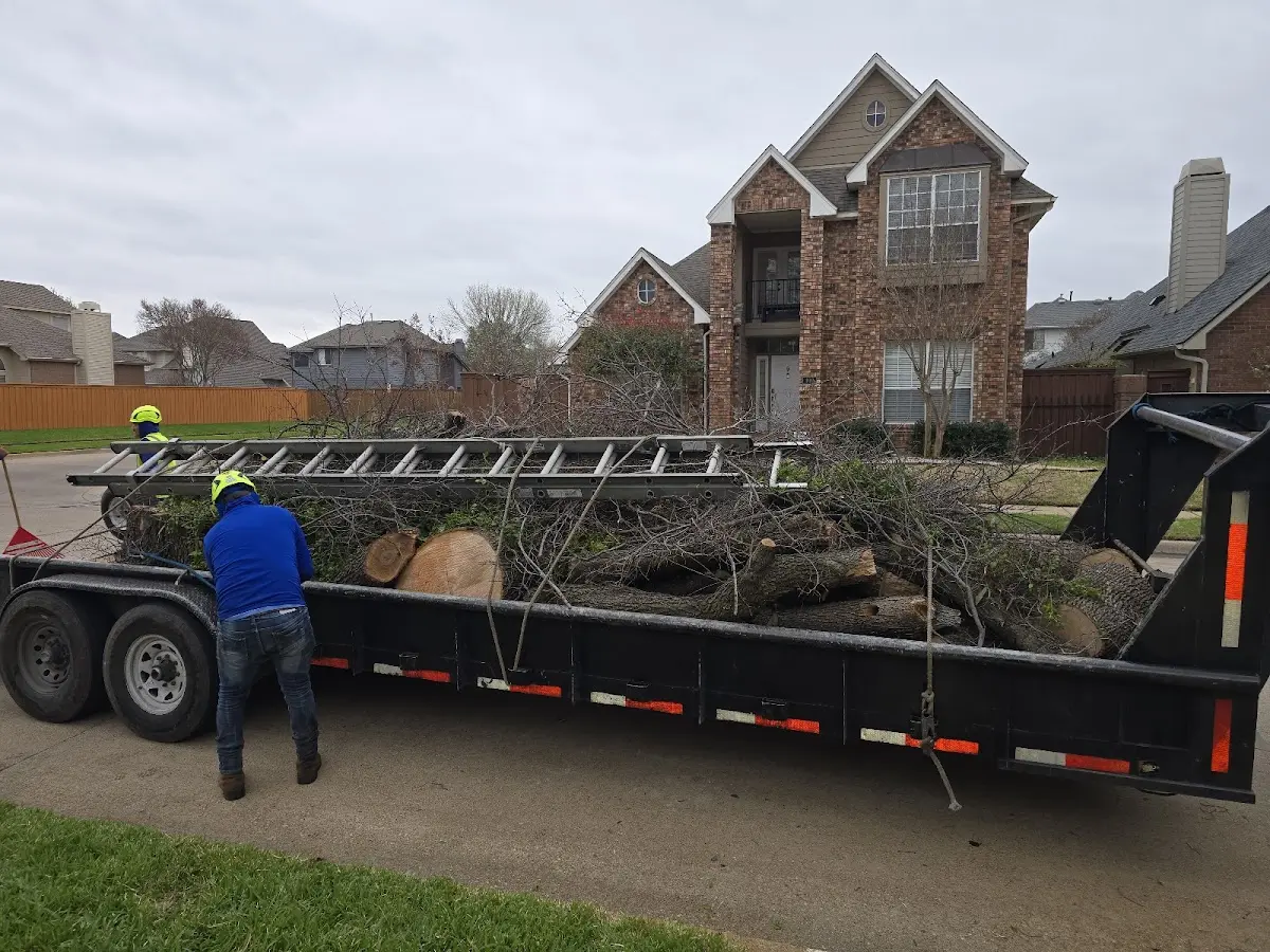 Expert Tree Removal with proper safety equipment in Rapidan